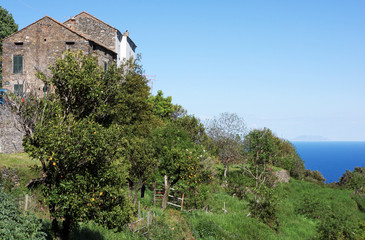 Fototapeta premium village du littoral de Corse