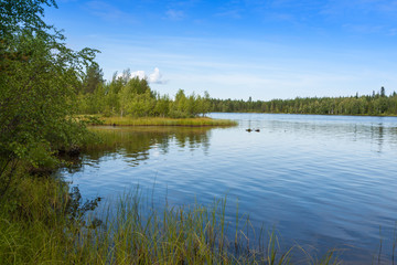 Fototapeta na wymiar Landscape with lake in sunny day,Finland