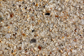 fine sand beach area.