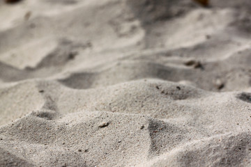 fine sand beach area is rugged.