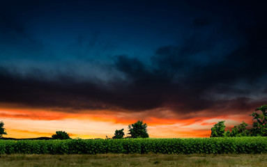 Obraz premium night background