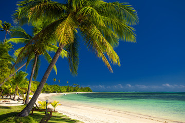 Obraz premium Palm trees and a white sandy beach at Fiji