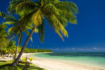 Fotobehang Palm trees and a white sandy beach at Fiji © Martin Valigursky
