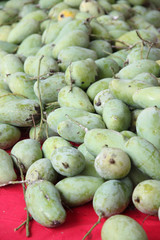 Raw green mangoes in the fruit market.