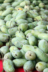 Raw green mangoes in the fruit market.