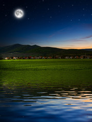 Fototapety na wymiar - Fototapeta24.pl