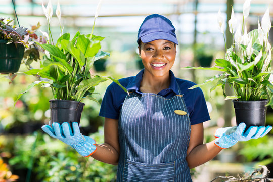 african florist holding two potted flowers