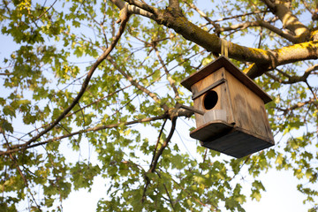 Birdhouse