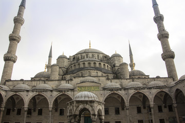 Obraz premium the blue mosque of Istanbul