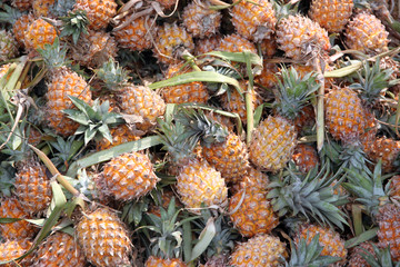 stack of many ripe pineapple in the fruit market.