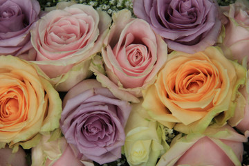 Bridal roses in soft colors
