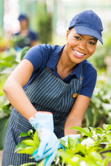 young african american nursery worker gardening