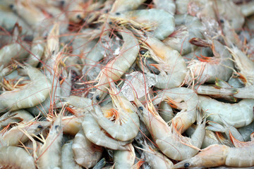 Fresh shrimps in seafood market.