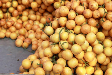 Marian plum fruit - asia fruit