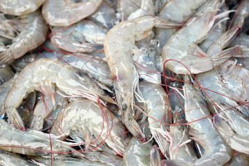Fresh shrimps in seafood market.