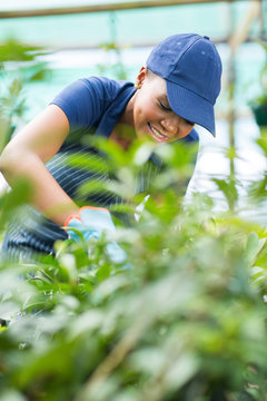 african american female nursery worker trimming plants