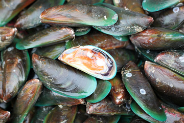 green mussel in seafood market.