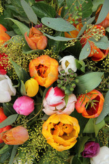 Mixed tulip arrangement