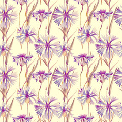 Cornflowers Seamless Pattern