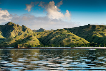 Coastal landscape of island Komodo National Park, UNESCO World H - 64280102