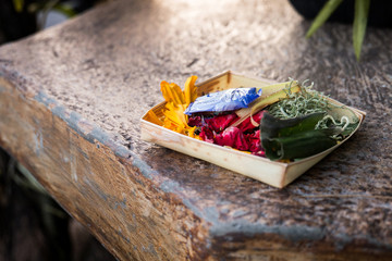 Traditional balinese offerings to gods in Bali with flowers, Ind