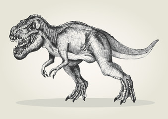 Sketch illustration of a tyrannosaurus rex