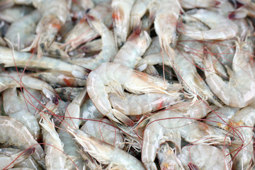 Fresh shrimps in seafood market.