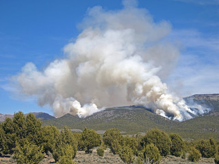 Fototapeta na wymiar Rangeland Fire