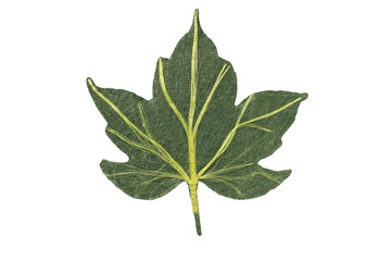 Obraz premium Herbstblatt