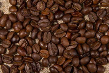 Coffee beans on the natural burlap