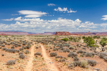 Unmade Desert Road and Blue Sky