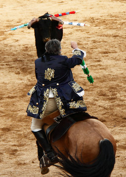 Torada, Tourada, Corrida