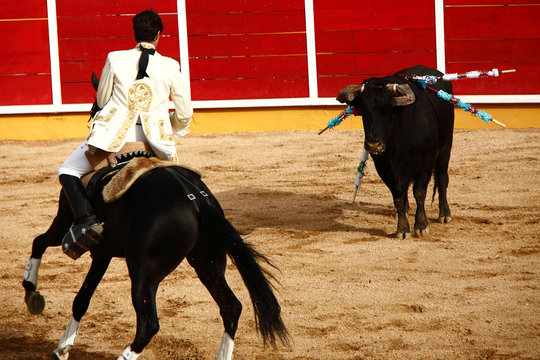 Torada, Tourada, Corrida