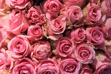 Fototapeta na wymiar Pink roses in bridal bouquet
