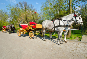 horse-drawn carriage with horses