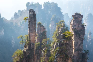 Plexiglas foto achterwand Zhangjiajie National forest park © vichie81
