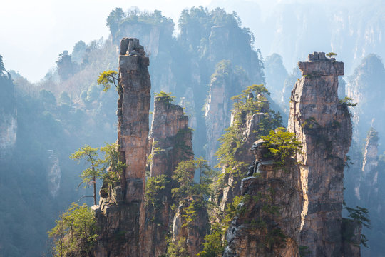 Fototapeta Zhangjiajie National forest park