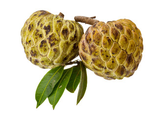 Annona