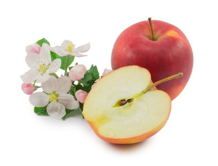 apple and flower