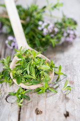 Portion of Winter Savory