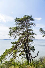 romantic steep cliff with lake