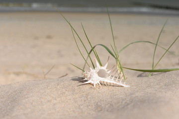 plage de 