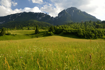 Fototapeta premium Mountain landscape