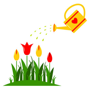 watering can waters red yellow tulips clip art preview