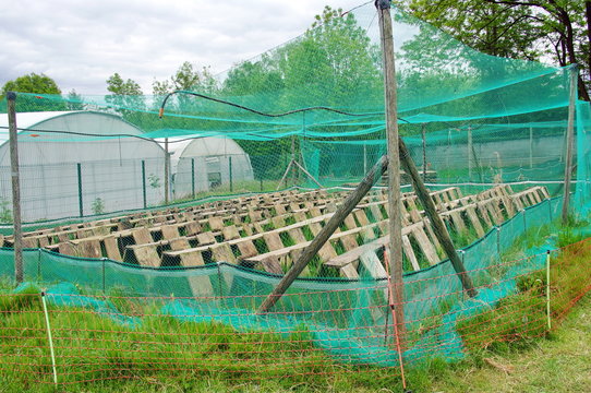 parc a h&eacute;liciculture
