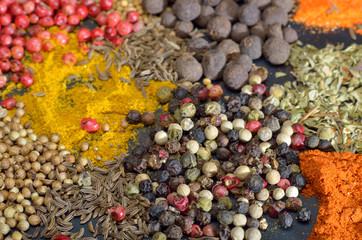 Colorful spices background