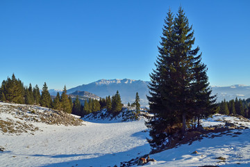 Beautiful winter landscape