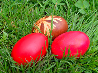 Easter Dekoration with colorful egs in grass