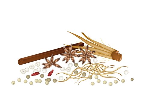 various spices brown, white, red on white clip art preview