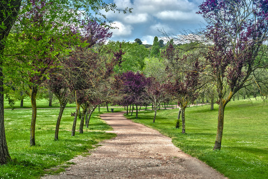strada sterrata
